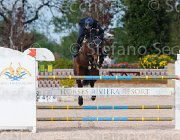 ARIOLDI F AGADIR CampITA2013- S5 1248 : AGADIR, ARIOLDI FRANCESCA, Campionati Italiani 2013, Cattolica, Horse Riviera Resort, foto di Stefano Secchi ©